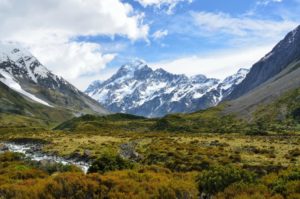 Christchurch: An die Ostküste von Neuseelands Südinsel reisen
