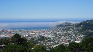 Wellington: Entdecke die Hauptstadt Neuseelands!